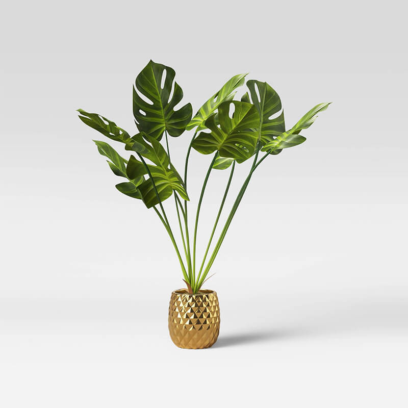 Potted Palm Leaf Plant